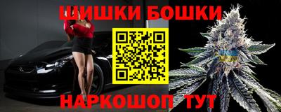 крисы Будённовск