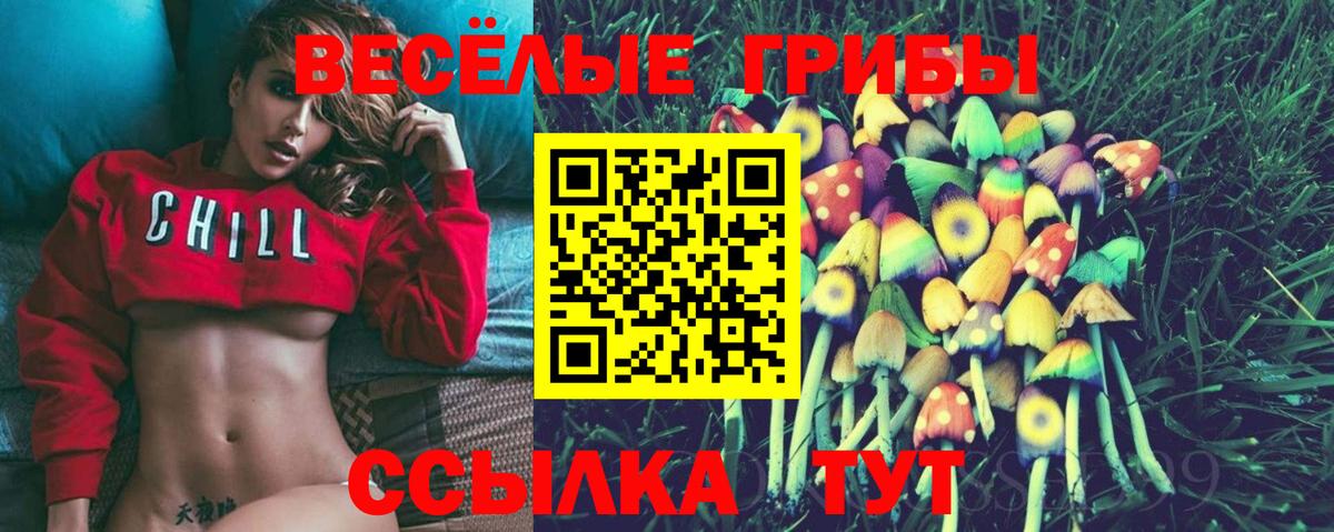 Псилоцибиновые грибы Cubensis  Галлюциногенные грибы GOLDEN TEACHER  Похвистнево  Вход с VPN 